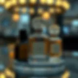 Elegant Portable Perfume Holder Display Elegant portable perfume holder display