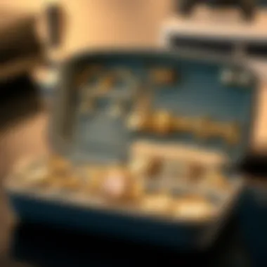 Stylish organizer opened to display a neatly arranged collection of earrings and rings