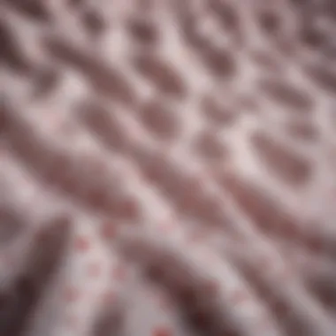 Textural Delight: Polka Dot Minky Fabric Close-up of polka dot minky fabric showcasing texture