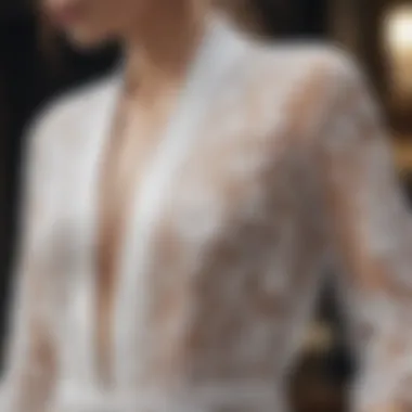 Close-up of intricate lace detailing on a sheer robe