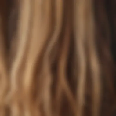 Diverse types of straight hair extensions displayed elegantly