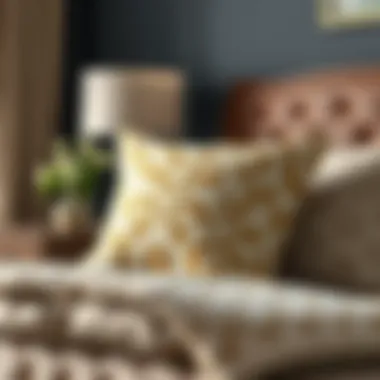 Care techniques for large decorative pillow cases illustrated through washing and maintenance