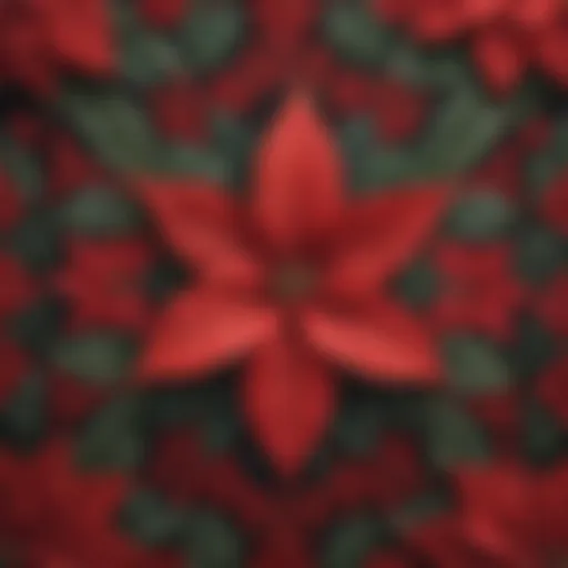 Close-up of a vibrant poinsettia rug showcasing intricate patterns