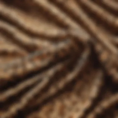 Close-up of leopard print fabric texture