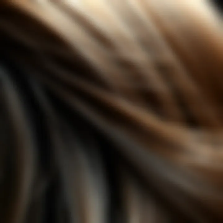 Close-up of hair strands glistening after mist application