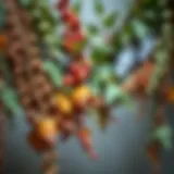 Vibrant Textures of Vine Garlands A beautifully arranged vine garland showcasing various natural textures and colors